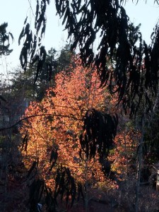 Not on fire but glowing