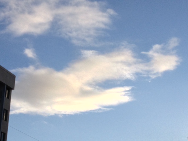 Do You See What I See? Answer below