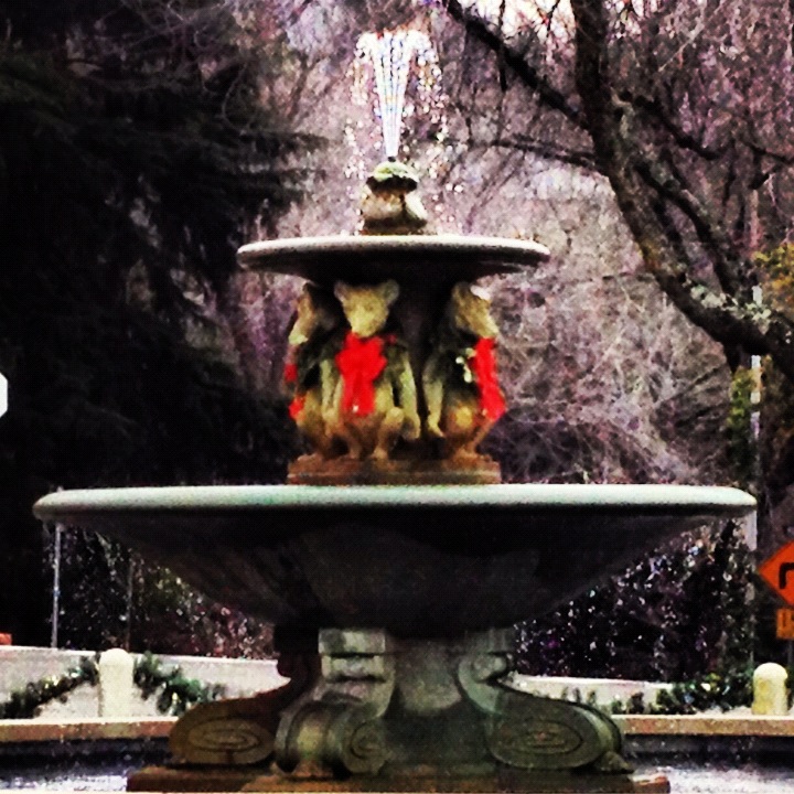 Bear Fountain all dressed up for Christmas, breavely stands in the center of a traffic circle.