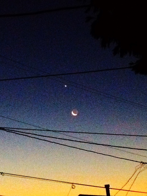 Reading about the upcoming powerful evolutionary new moon when the husband cam in and said come look at the moon