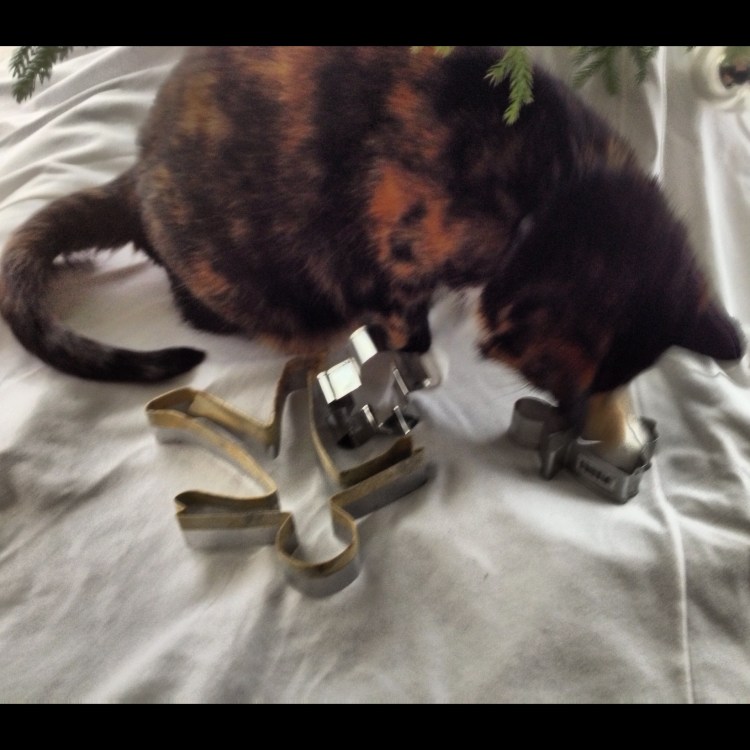 Where's the gingerbread?