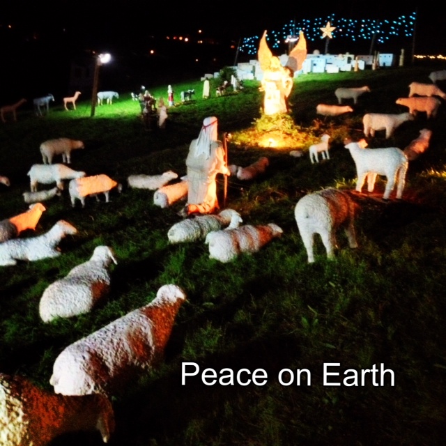 My Christmas Wish for You