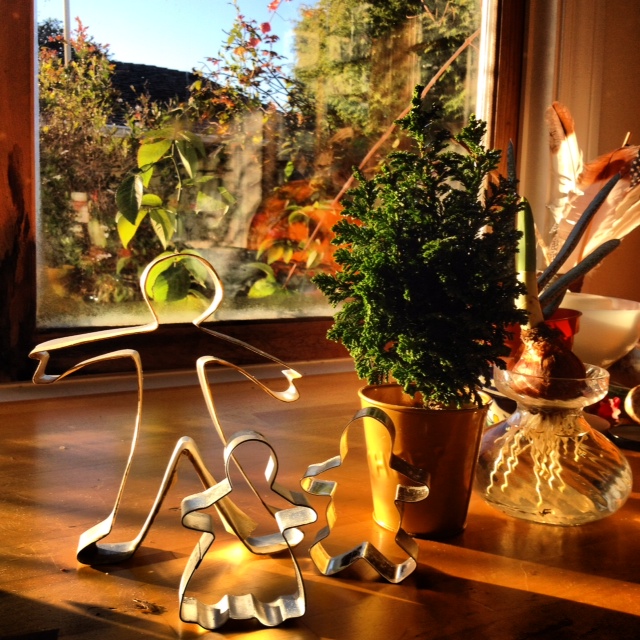 The Cookie Cutter Family get up early to decorate their tree.