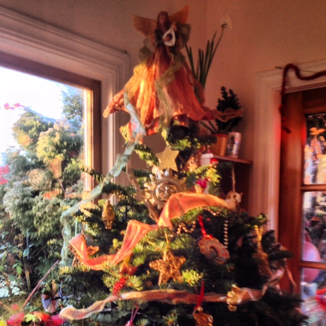 Christmas Morning light streams  in a welcomed sight