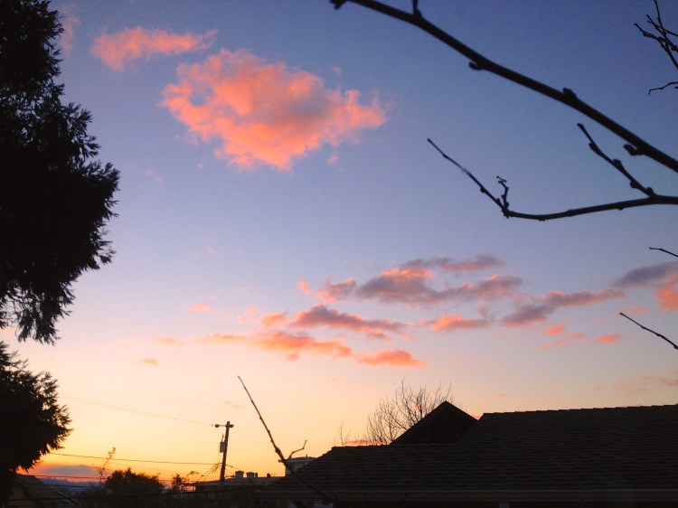 Sunrise 1/1/2013. Pink  float cloud drifting South to Pasadena for the Rose Parade! 