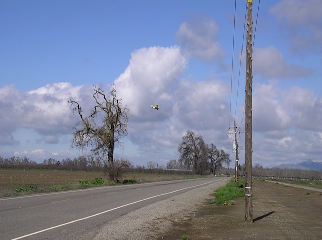It's hard to miss this little yellow crop duster but it took a few runs before I could capture this photo.