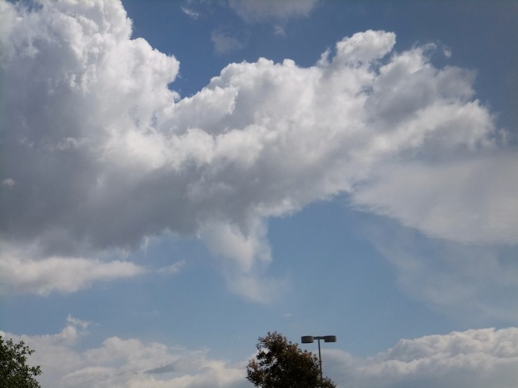 I was inspired to dig into my Oklahoma roots from Yesterday's prompt of Planes. We learned all the words of Oklahoma when I was in the 2nd grade because the theme song from Oklahoma became the state song around then. I remember belting out .Where the wind comes right behind the rain. I made my husband learn the words  to prove he wanted to marry me.