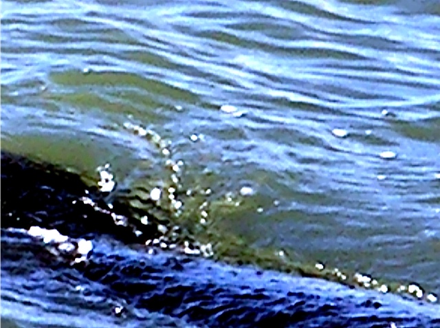 Is Icarus about the flight or the unnoticed loss?