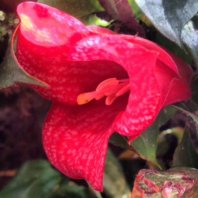 Let's open up and sing