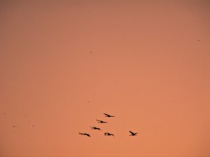 IMGP1404 - Version 2