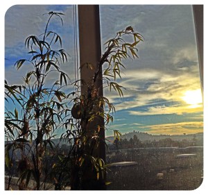 Last look out her window