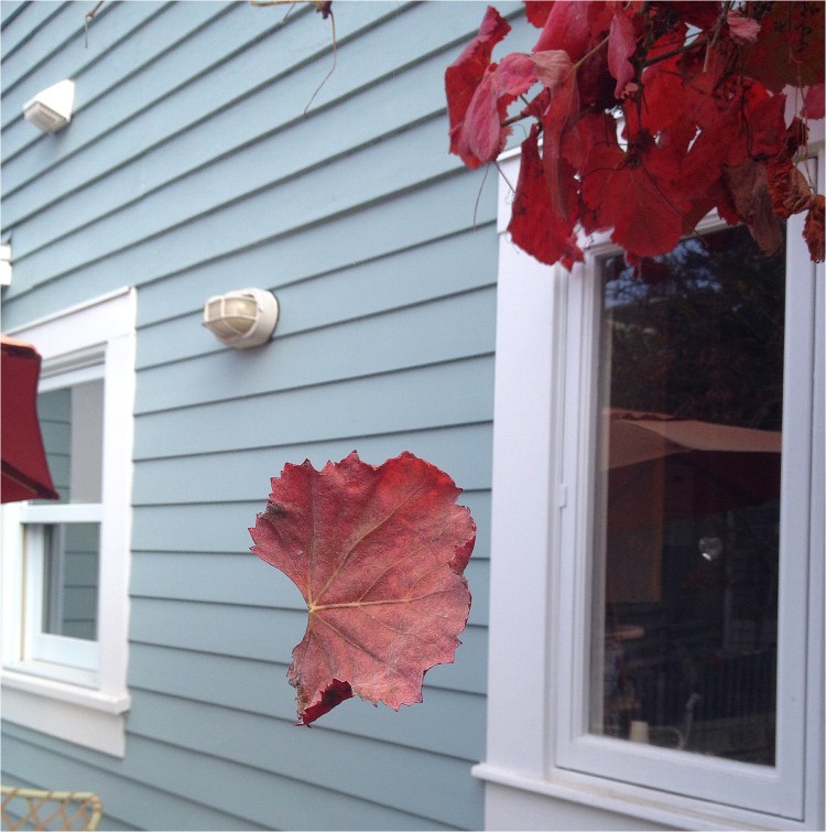 Free floating gape leaf