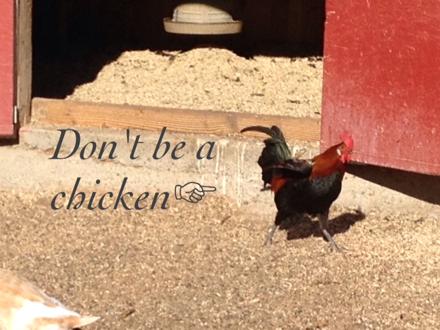 Unless you are. Then be the best Chicken ever.  Then CROW about it!