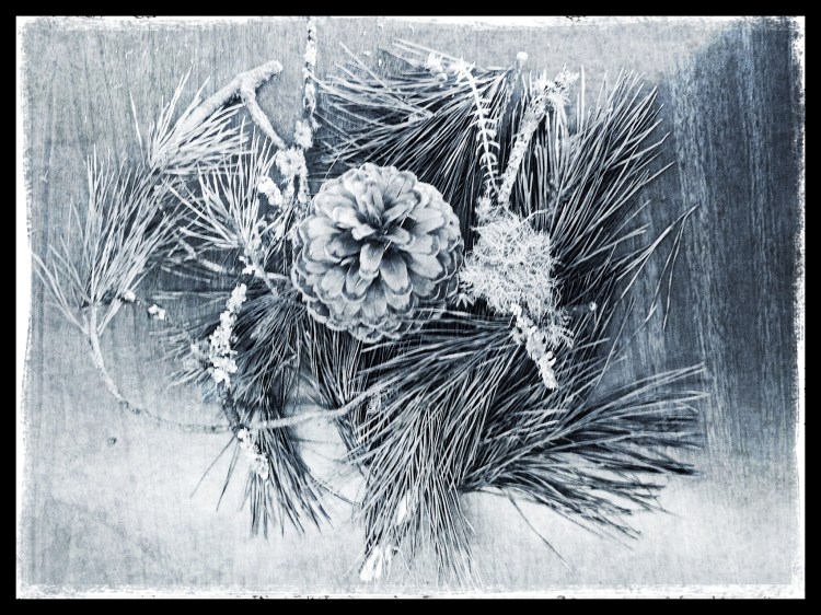 Black and White still life