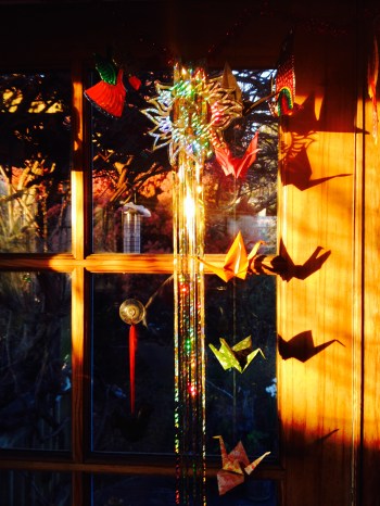 Sunrise New Years Day