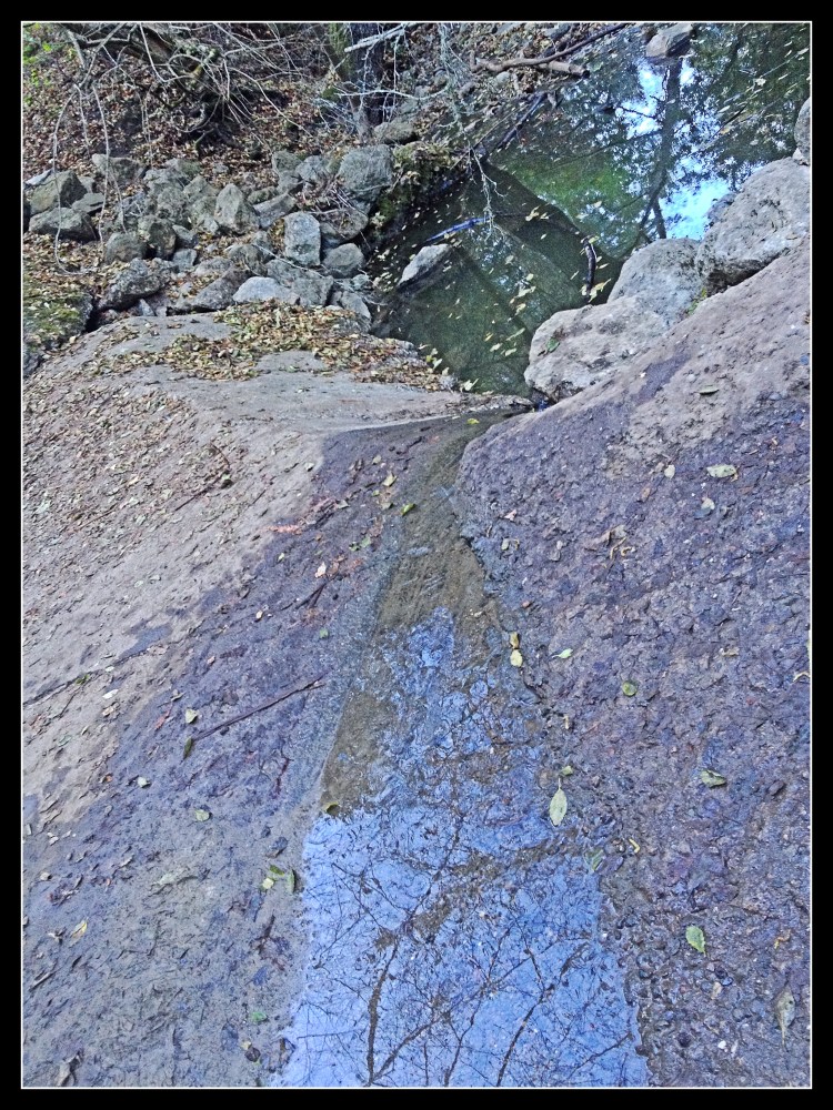 an endless stream singing in winter