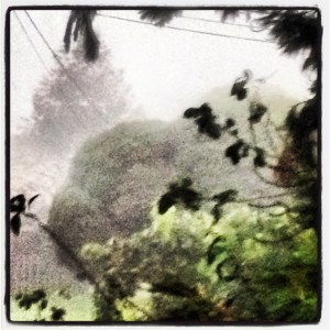 Let there be rainy clouds 