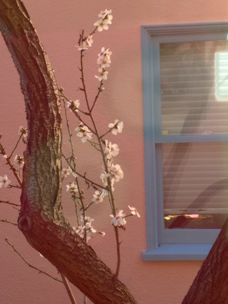 from window to window