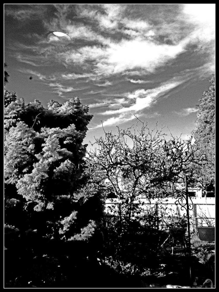 Clous and cloud tree