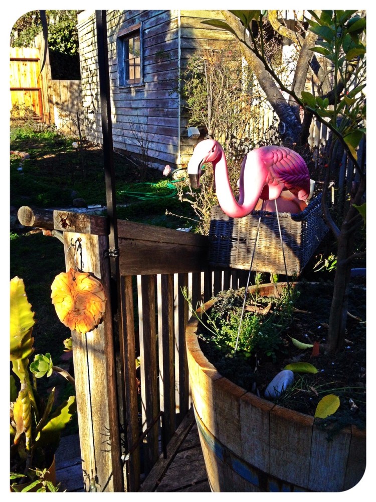 Gracie and the Green Man welcome the sun