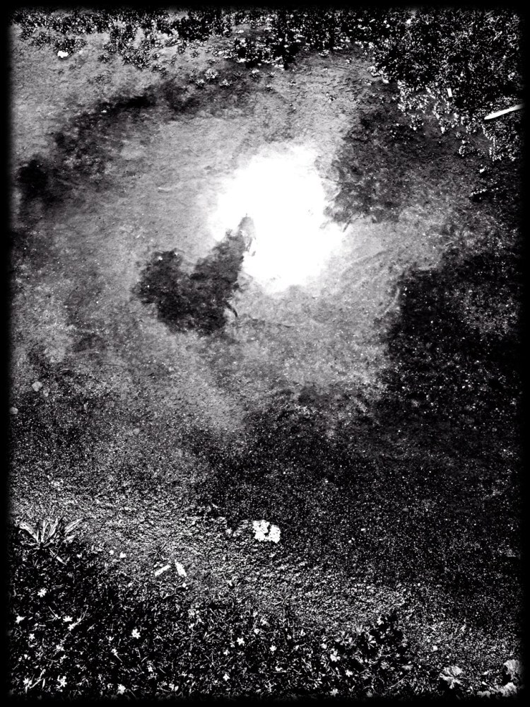 Sun Captured in a puddle