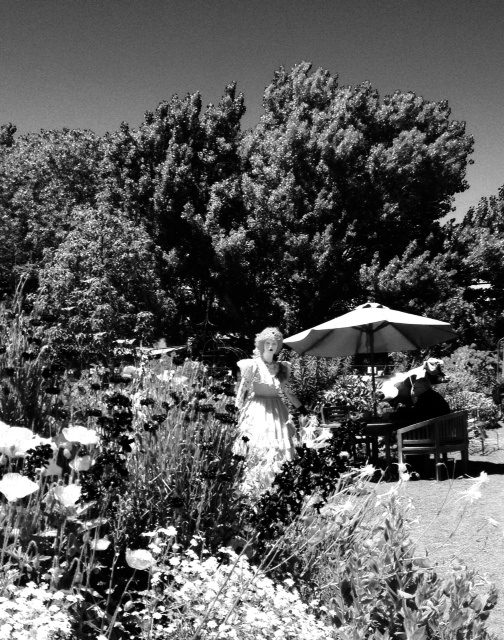 4. Garden Princess. Can you find the cow?