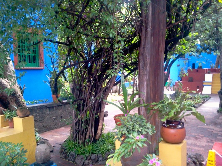 Fida Kala's Garden 
