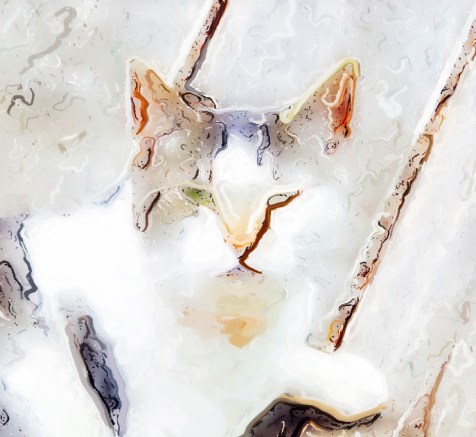 I Know it's suppose to be black and white day but I like this photo