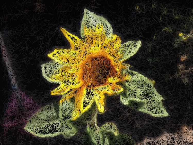 5-Lacy dress for evening. Glaze app.