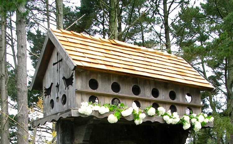 A Dovecot 