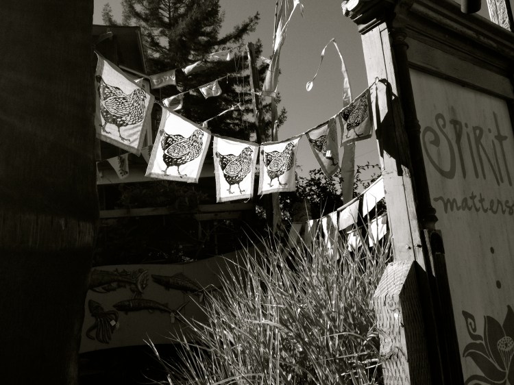 Spirit Matters with Chickens