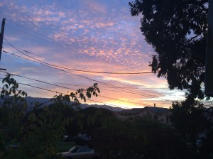 not part of the challenge but Just snapped this sunrise