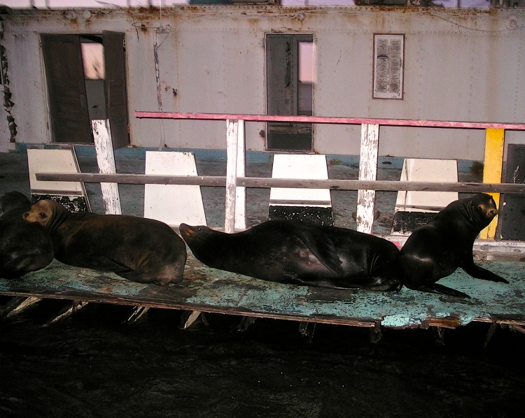 Sorry to disturb you