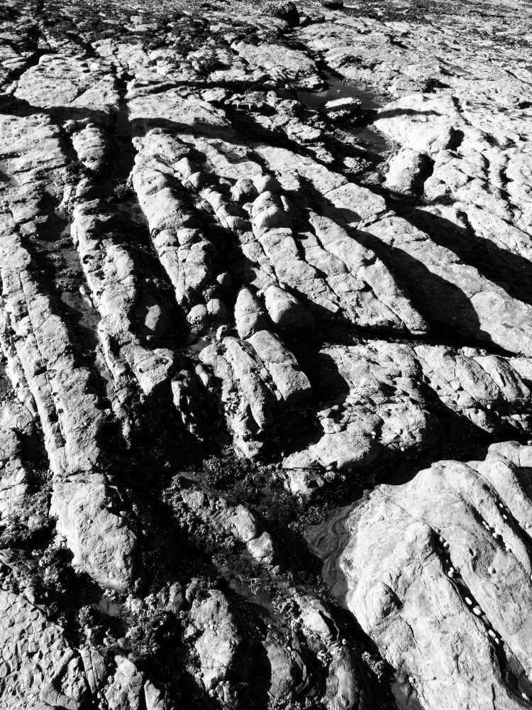 Pt Lobos or landing strip