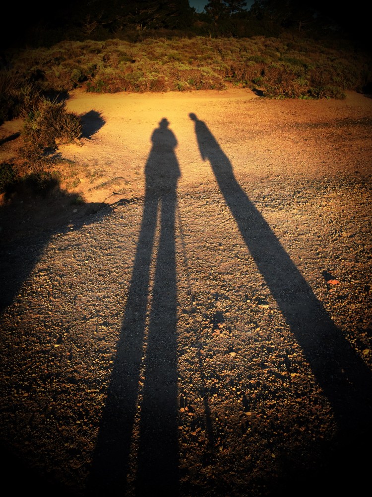 Long shadows New Years Day Pt. Lobos