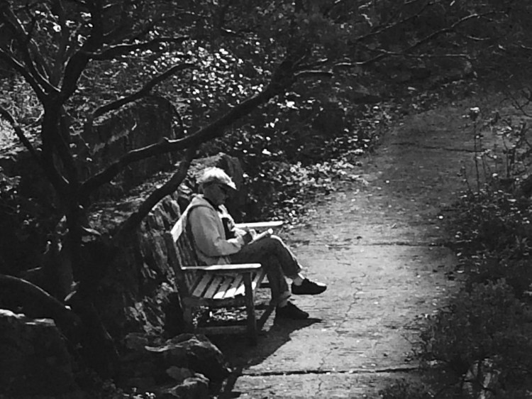 Drawing in the light