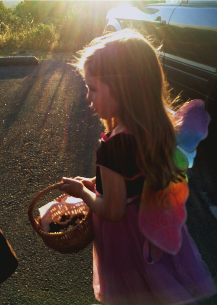 Enveloped in Sun light