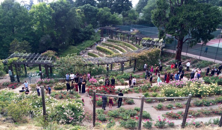 Berkeley Rose Garden