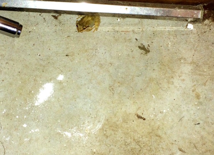 Concrete Floor in an unfinished bathroom( Not at my home)