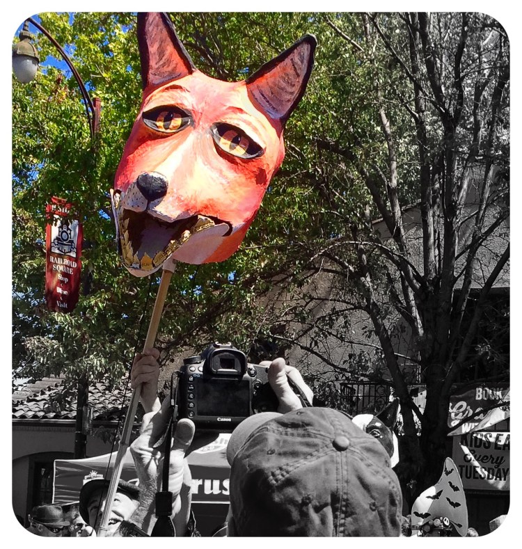 4-Photographers with big cameras get in the way