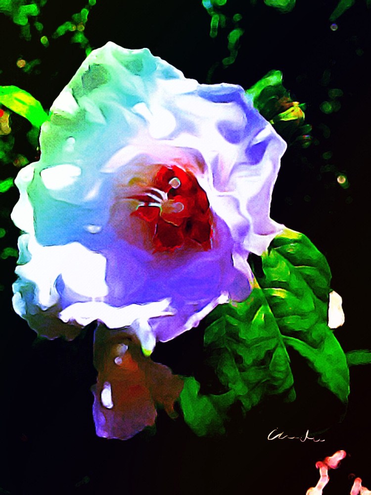 3-Hibisus with Photo Studio