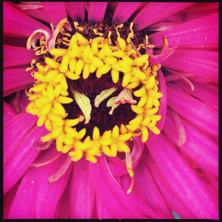 3-Center of a Composite 