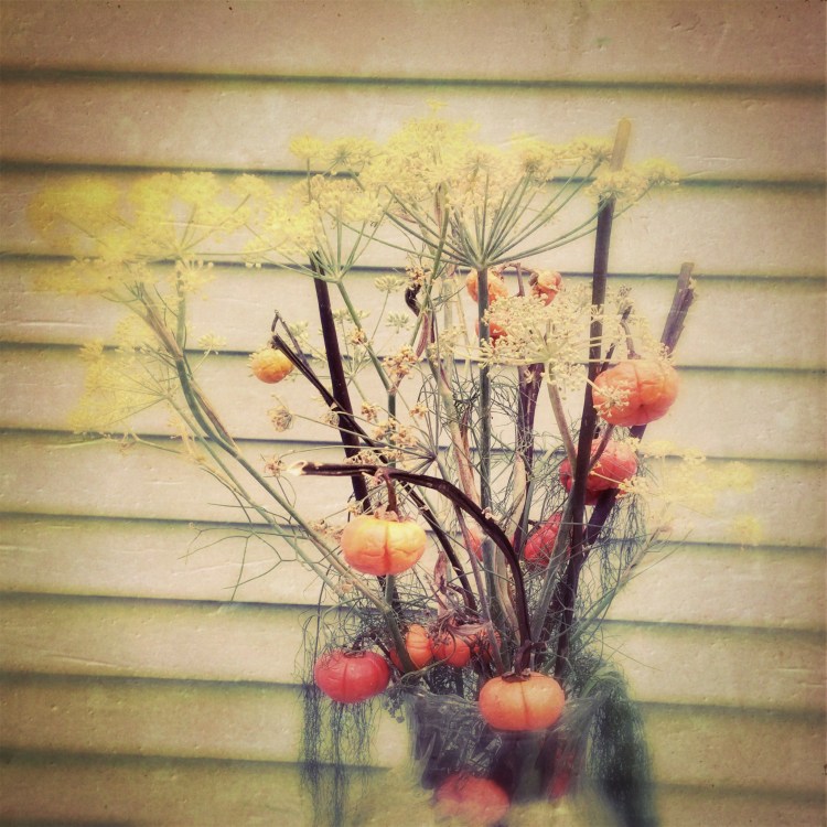 Got fancy and up closer with Hipstamatic lens