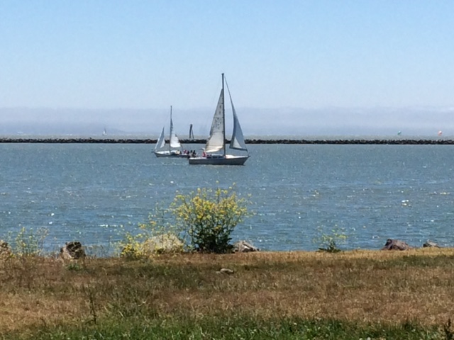 Sail Boat still in the middle
