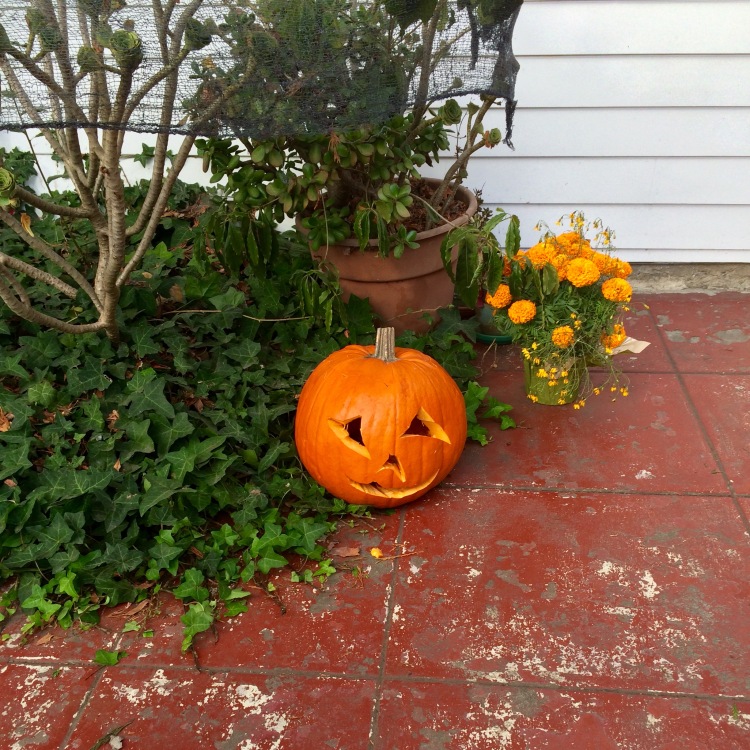 Sad Pumpkin left over