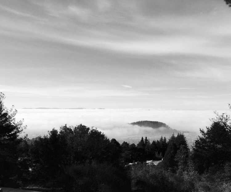 Looking Across the Bay