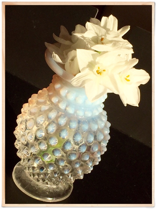 Last years Paperwhites