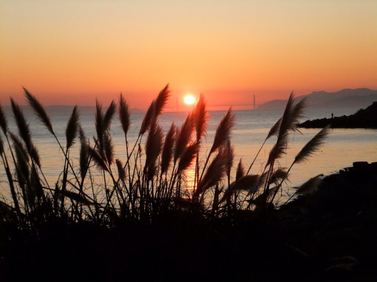 Solstice Sunset 2011