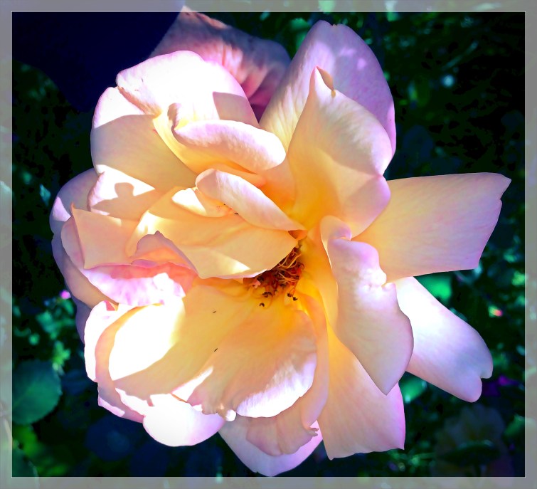 Must Be Canary yellow 