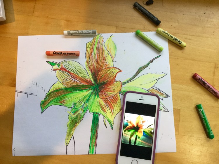 Cadet Blue in the background 